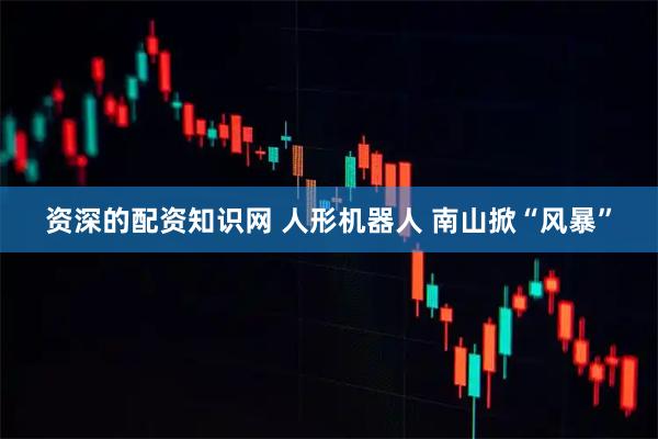 资深的配资知识网 人形机器人 南山掀“风暴”